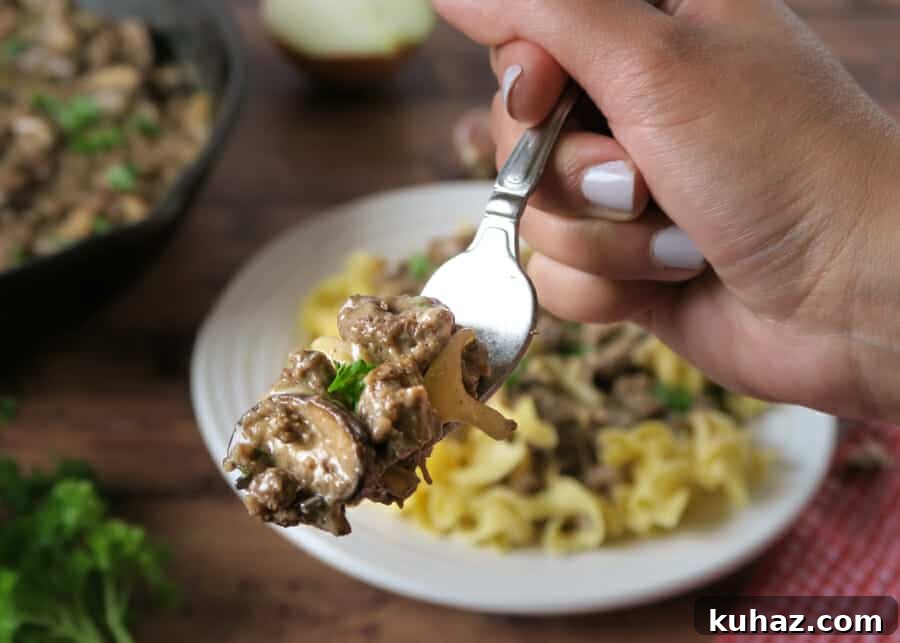 Creamy Ground Beef Stroganoff Recipe with Greek Yogurt 16 img 2579 16