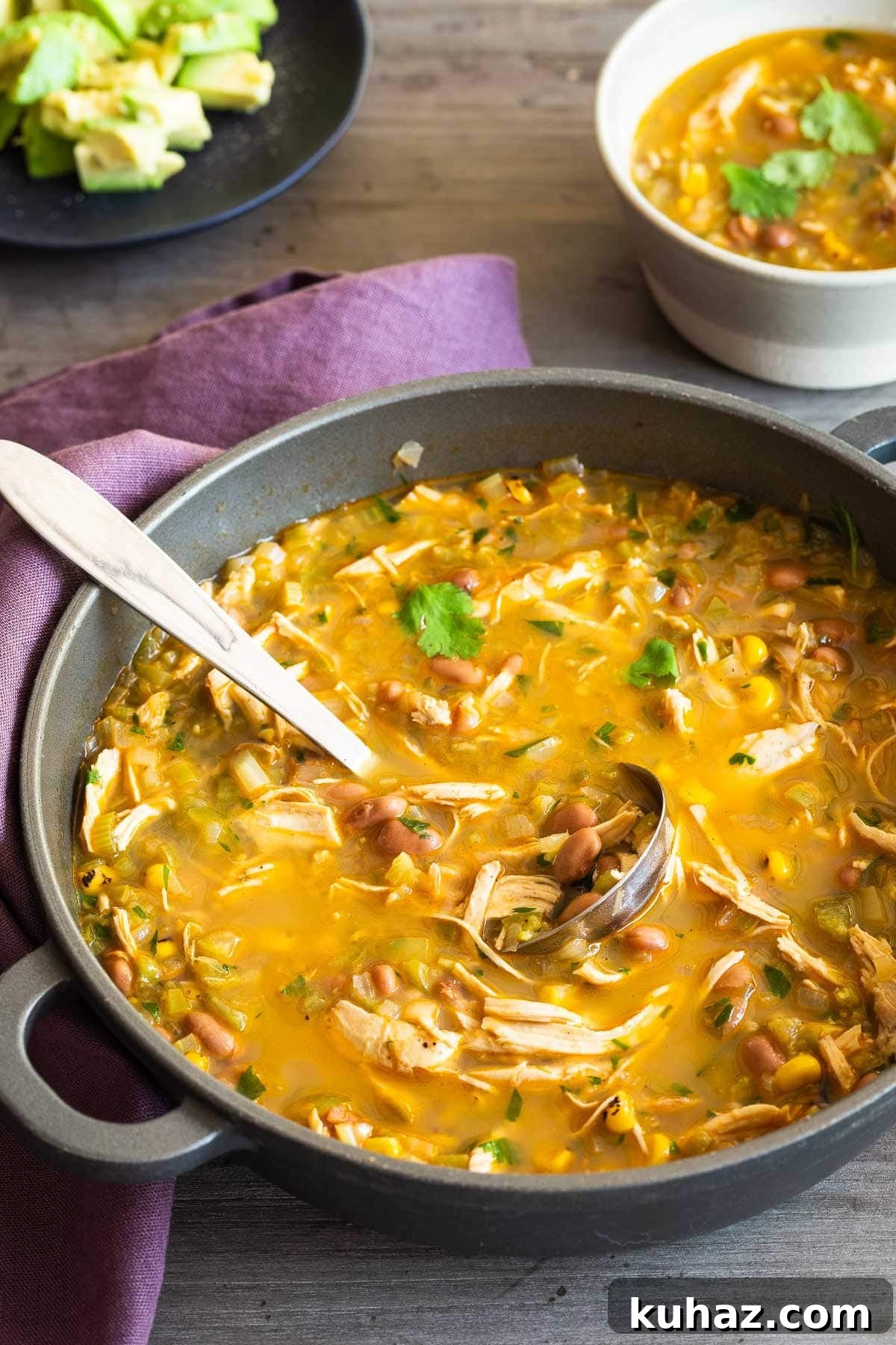 Zesty Tomatillo Soup Recipe with Chicken or Turkey 2 A pot of chicken tomatillo soup with a ladle and diced avocado for garnish.
