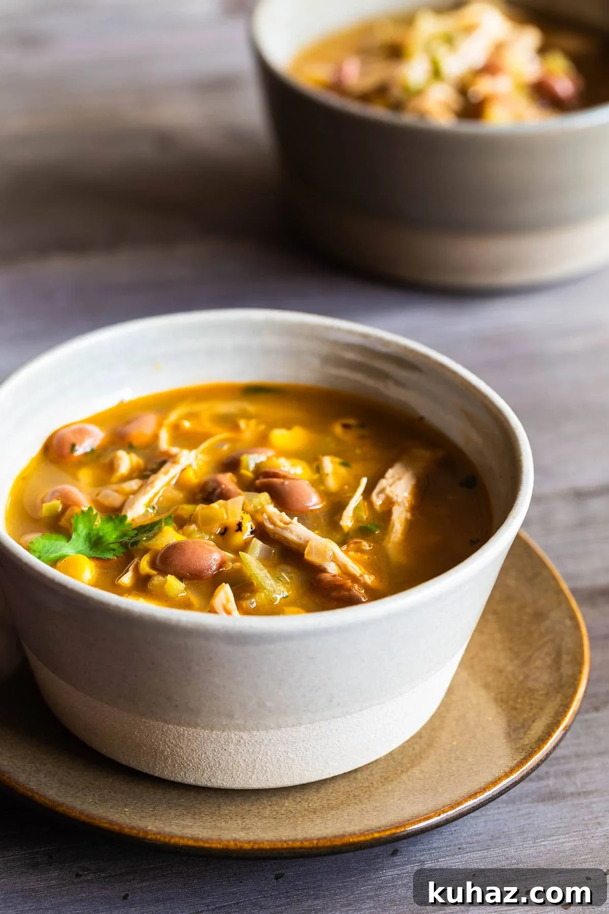 Zesty Tomatillo Soup Recipe with Chicken or Turkey 10 A rustic pottery bowl of chicken tomatillo soup with pinto beans and cilantro.
