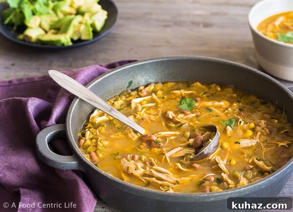 Zesty Tomatillo Soup Recipe with Chicken or Turkey 11 Chicken soup, ready to serve in a pot.