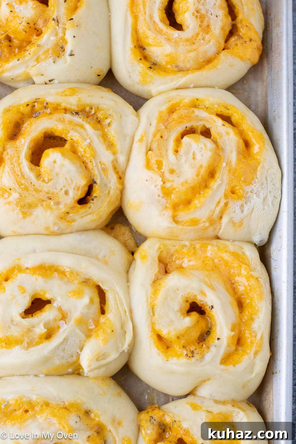 Crispy Cheese Rolls Recipe with Garlic Herb Dip 2 cheese rolls