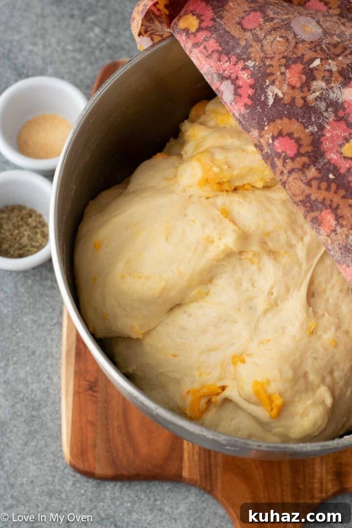 Crispy Cheese Rolls Recipe with Garlic Herb Dip 7 img 26996 6