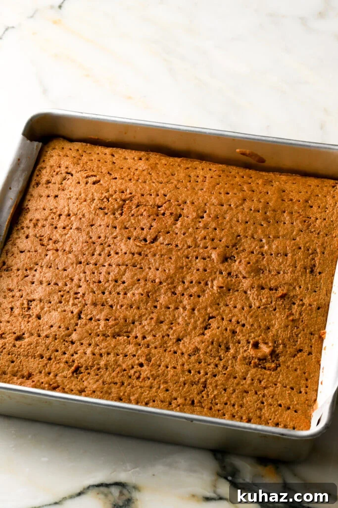 Classic Tiramisu Sheet Cake with Coffee Mascarpone 11 coffee soaked into cake