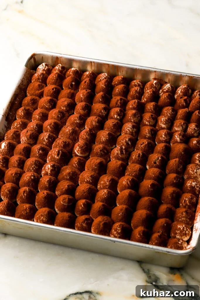 Classic Tiramisu Sheet Cake with Coffee Mascarpone 15 cake dusted with cocoa powder