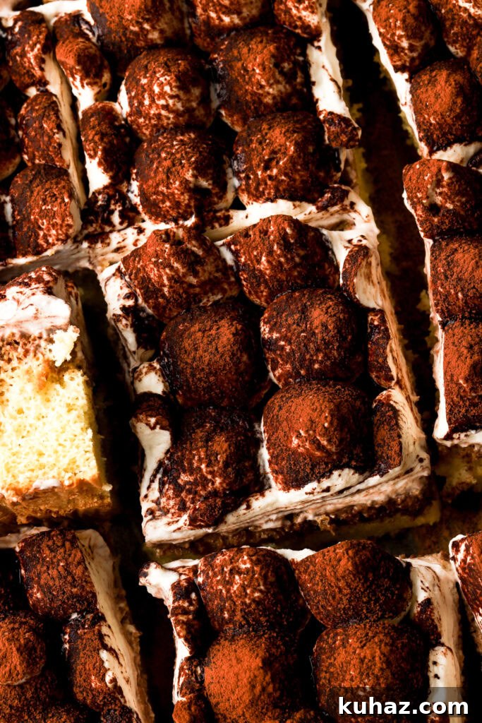 Classic Tiramisu Sheet Cake with Coffee Mascarpone 16 close up of tiramisu sheet cake sliced