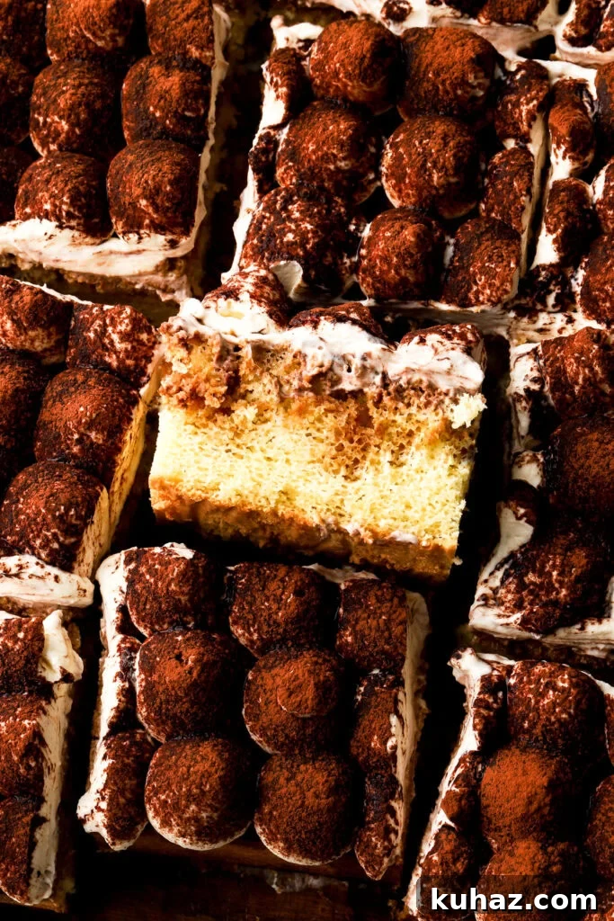 Classic Tiramisu Sheet Cake with Coffee Mascarpone 3 close up of tiramisu sheet cake with one on it's side
