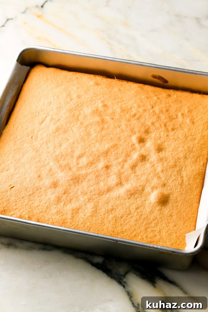 Classic Tiramisu Sheet Cake with Coffee Mascarpone 8 cake finished baking