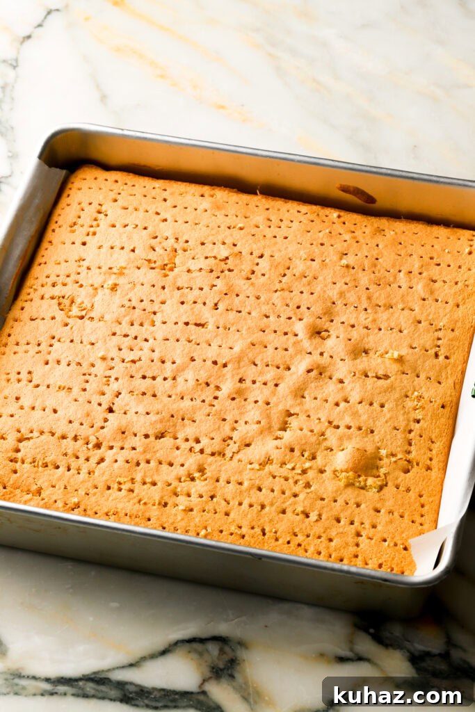 Classic Tiramisu Sheet Cake with Coffee Mascarpone 9 fork holes poked into the cake
