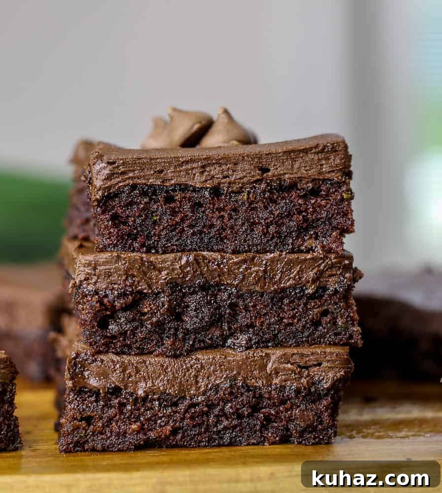 Fudgy Cocoa Zucchini Brownies 2 zucchini brownie recipe