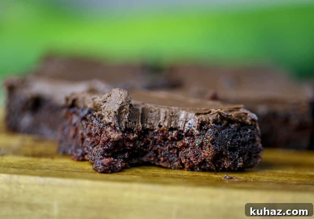 Fudgy Cocoa Zucchini Brownies 4 img 28001 10