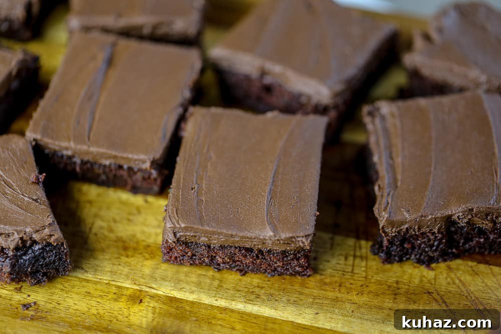 Fudgy Cocoa Zucchini Brownies 9 Best Fudgy Cocoa Zucchini Brownies