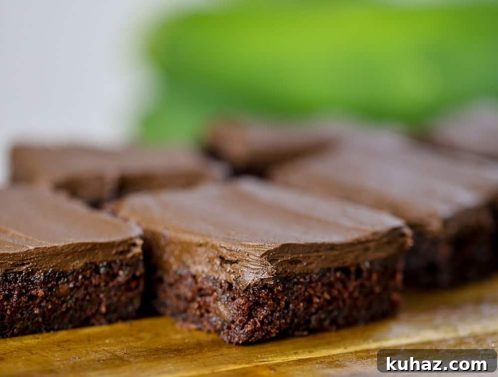 Fudgy Cocoa Zucchini Brownies 3 zucchini brownie recipe