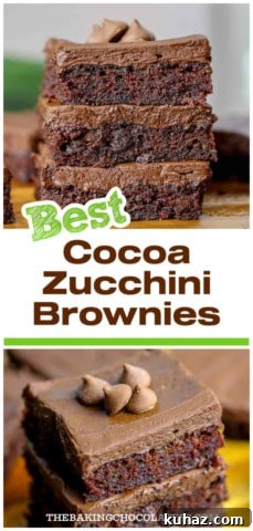 Best Fudgy Cocoa Zucchini Brownie Recipe