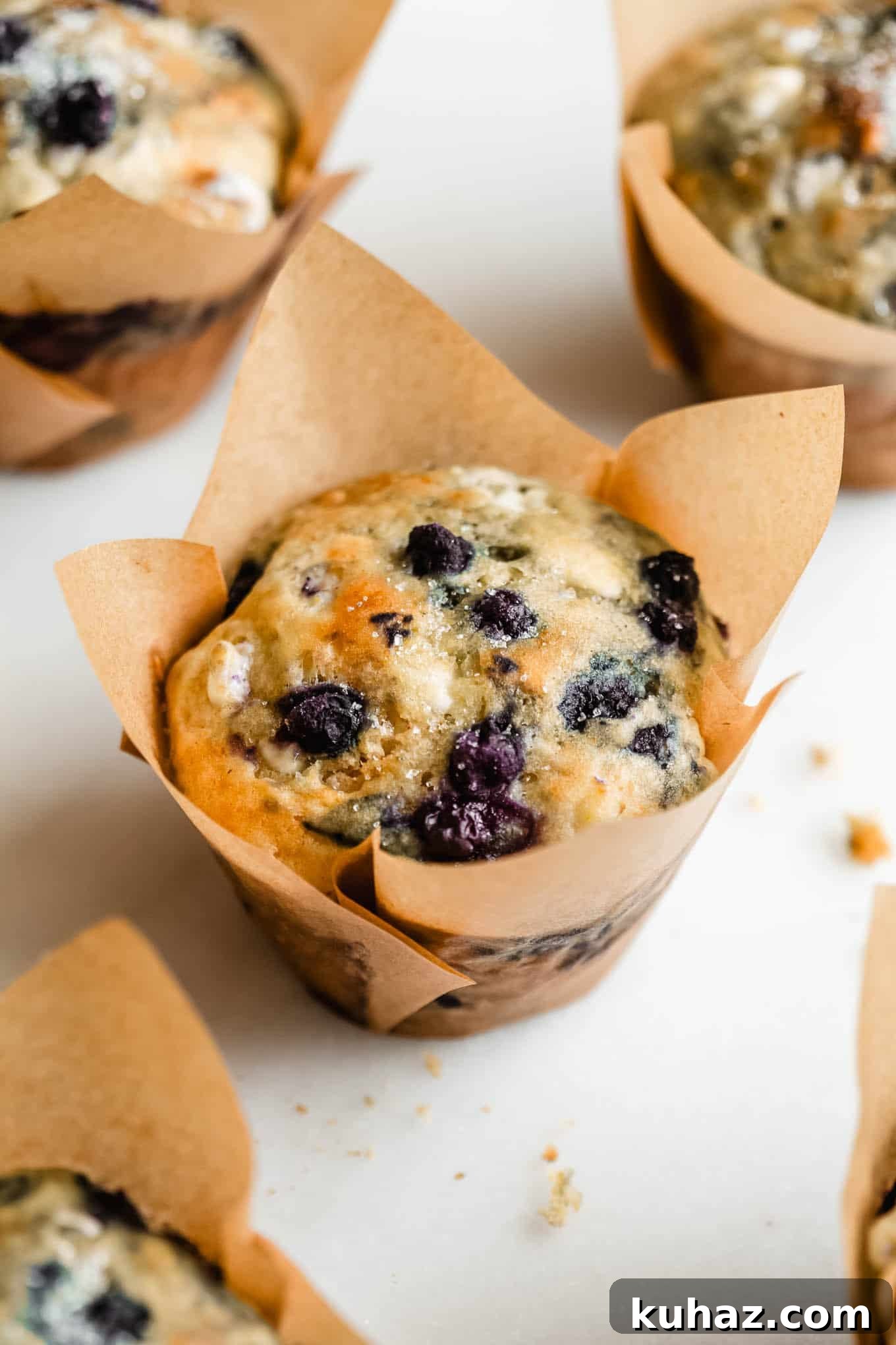 Cottage cheese Blueberry muffins in brown paper cups.