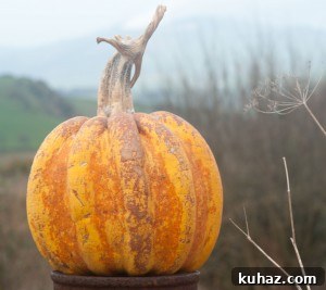 Griddled Sweet and Sour Marinated Pumpkin Recipe 4 Padana pumpkin