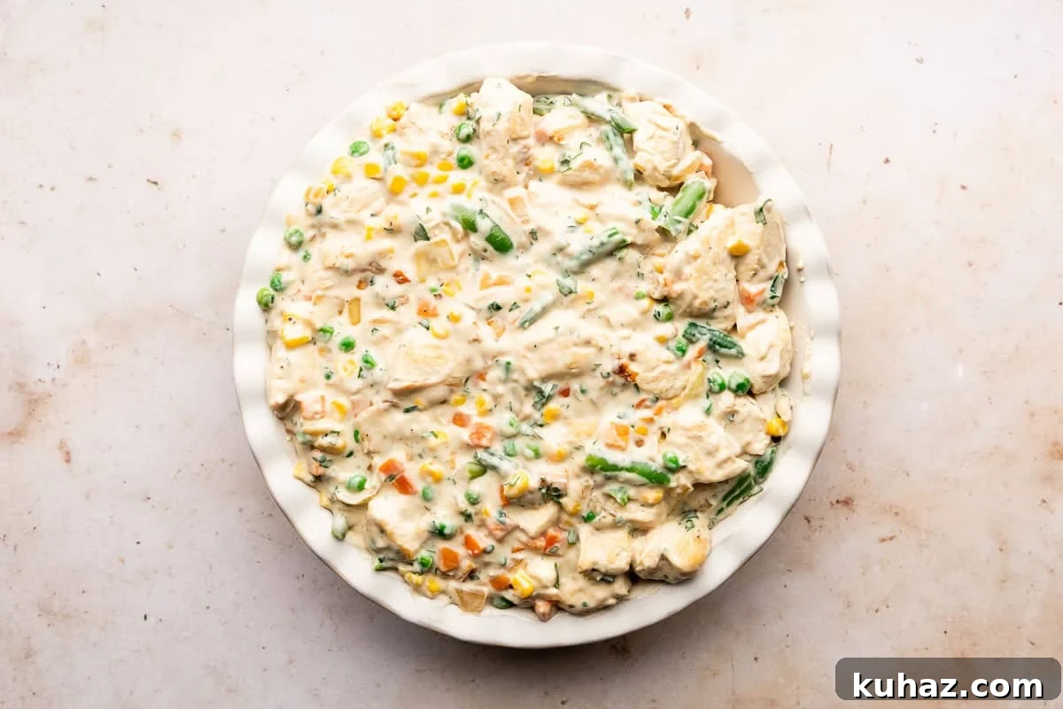 Homemade Chicken Pot Pie with Store-Bought Crust 5 img 3119 4