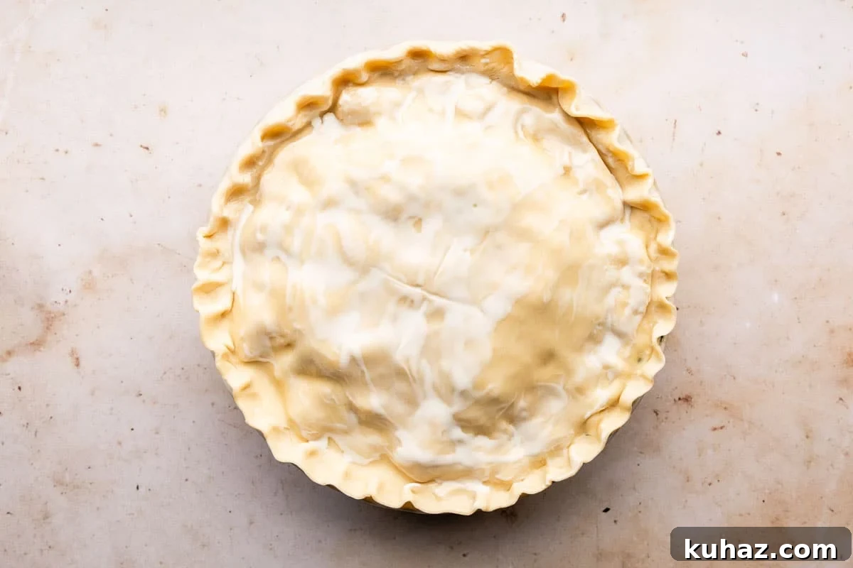 Homemade Chicken Pot Pie with Store-Bought Crust 6 img 3119 5