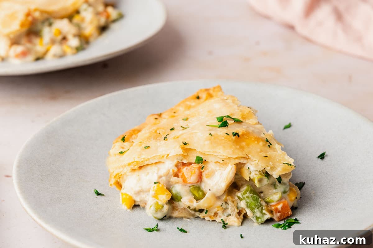 Homemade Chicken Pot Pie with Store-Bought Crust 8 img 3119 7