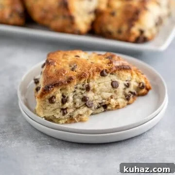 Chocolate Chip Scone on a small white plate.