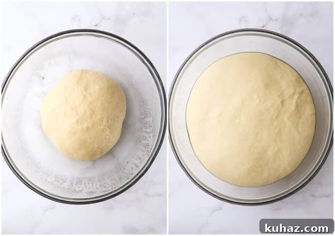doughnut dough, before and after rising