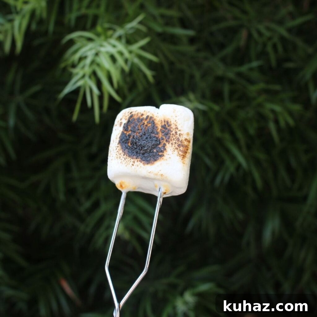 How to Roast Marshmallows Indoors Without a Campfire 2 How To Roast Marshmallows Without A Fire Or Indoors