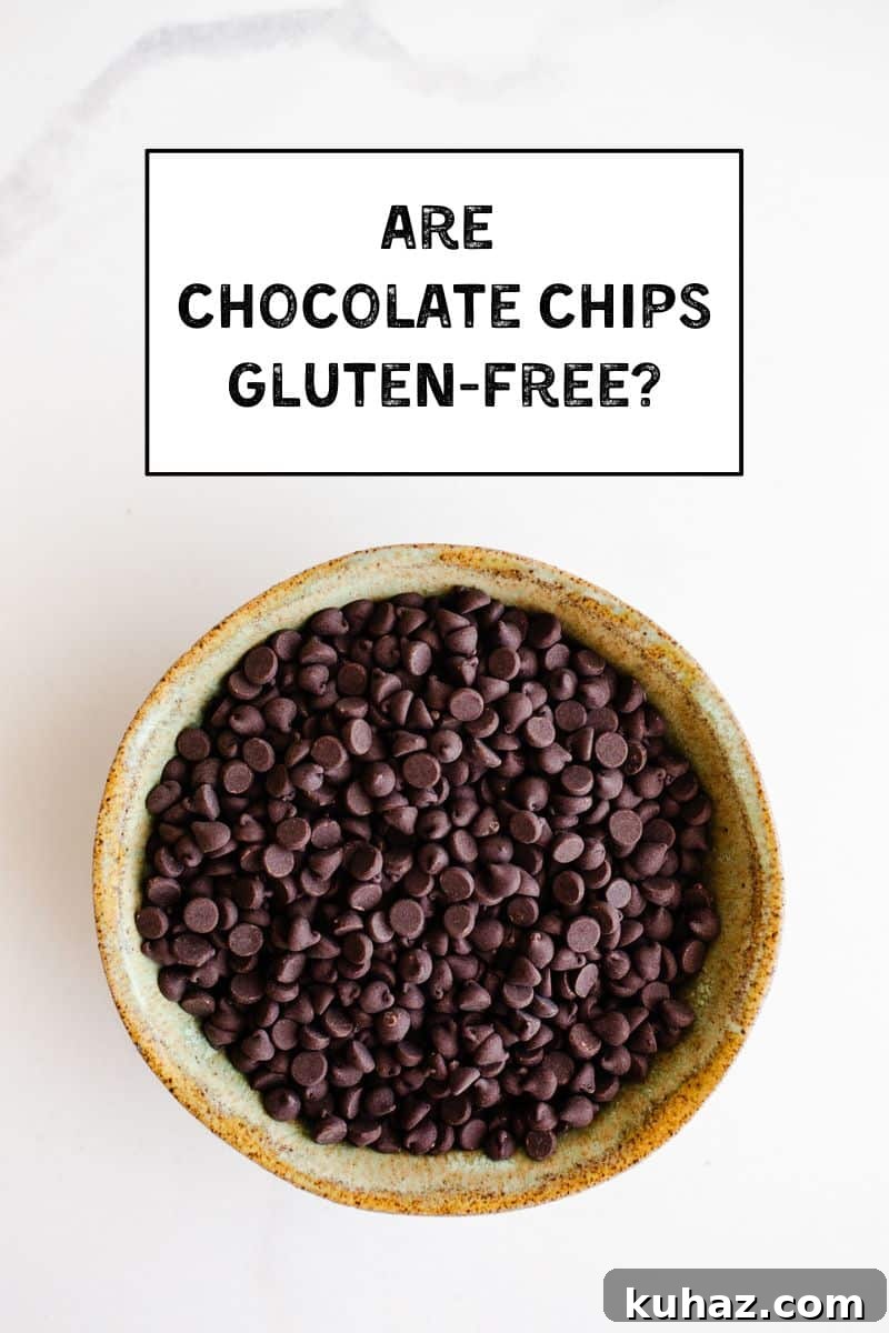 Chocolate chips in a bowl. 