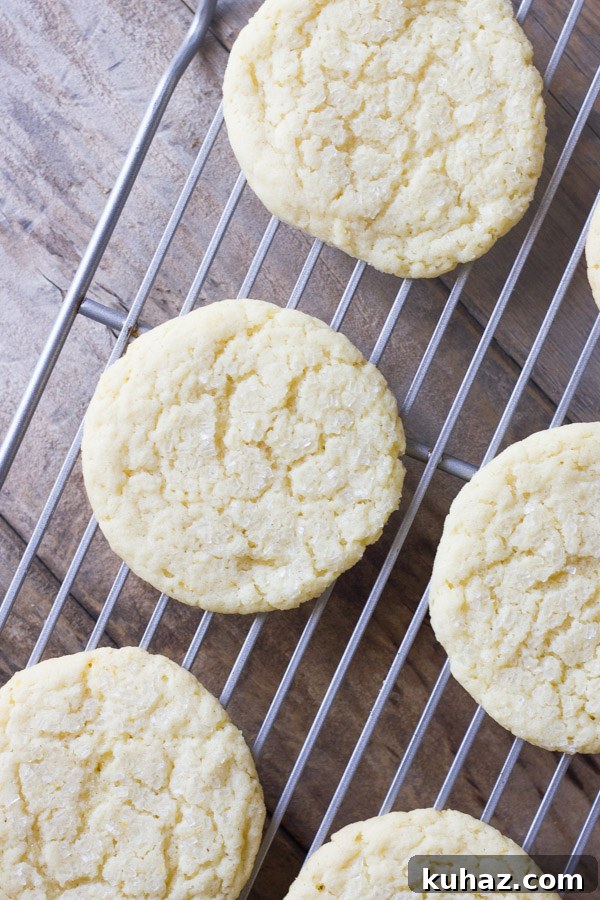 Soft, Chewy Bakery-Style Sugar Cookie Recipe 4 Bakery Style Sugar Cookies on a cooling rack.