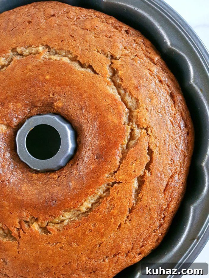 Sour Cream Banana Bundt Cake Recipe 3 Bundt Pan Sour Cream Banana Bread - Bundt pan closeup