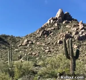 Why Phoenix Is the Next Hotspot for Living and Business 12 img 388 22