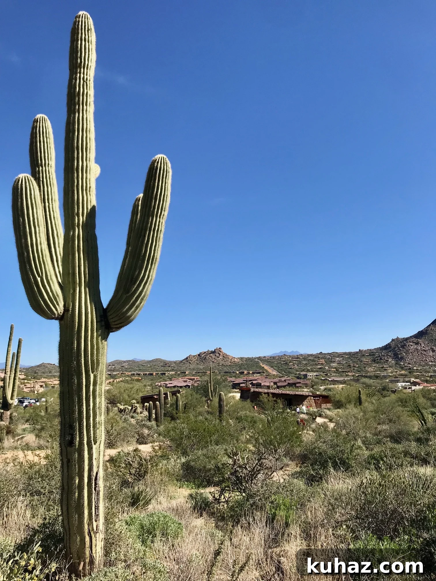 Why Phoenix Is the Next Hotspot for Living and Business 13 img 388 24