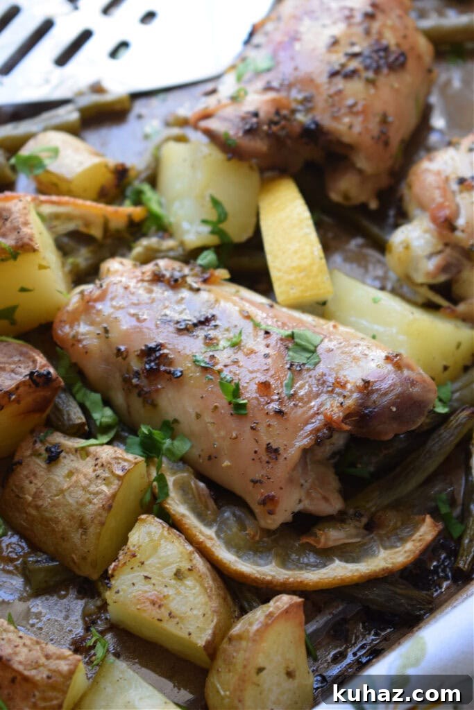 Sheet Pan Lemon Herb Chicken with Roasted Vegetables 12 Chicken thighs and potatoes on a baking tray.