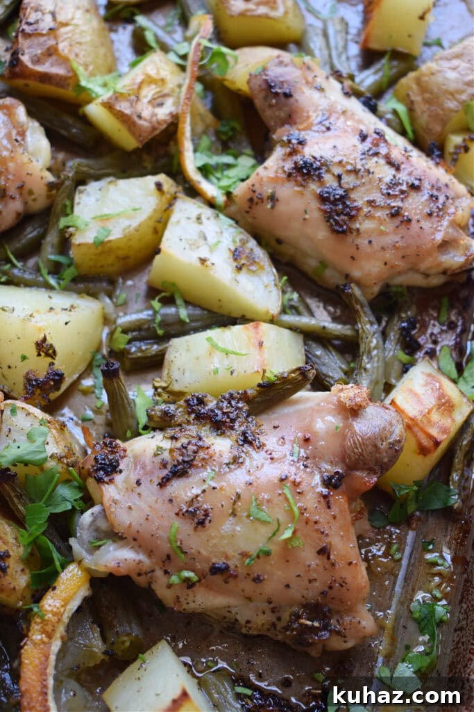 Sheet Pan Lemon Herb Chicken with Roasted Vegetables 3 Lemon herb chicken in a sheet pan.
