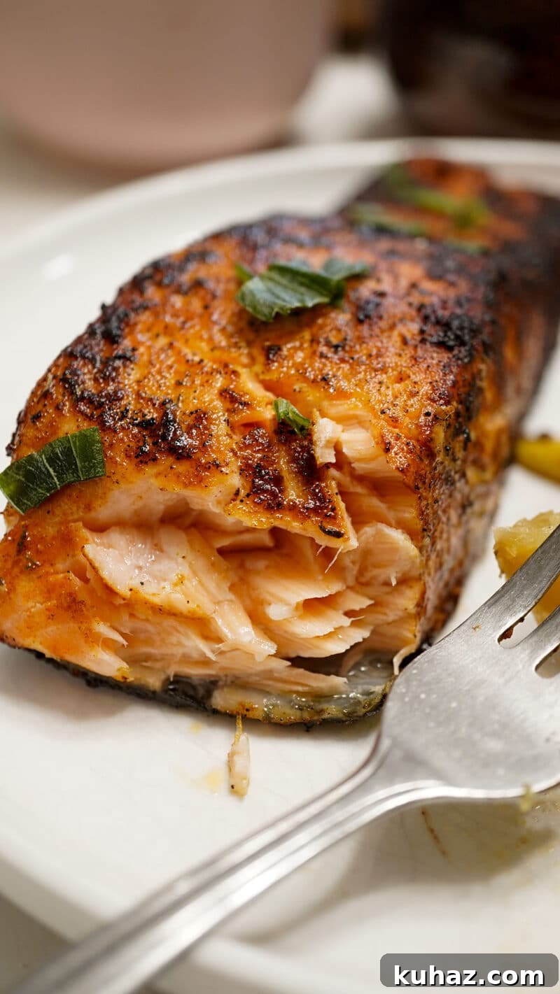 Quick Cajun Blackened Salmon Recipe 8 Plated Salmon