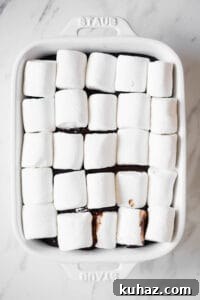 marshmallows on smores dip