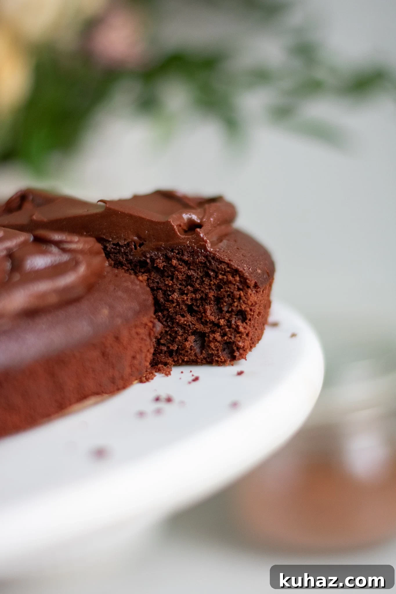 A slice of chocolate cake.