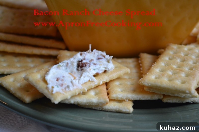 Homemade Creamy Bacon Ranch Cheese Spread 3 Cheese Spread 4