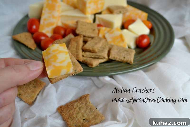 Homemade Creamy Bacon Ranch Cheese Spread 4 Italian Crackers 5
