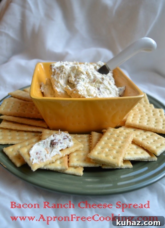 Homemade Creamy Bacon Ranch Cheese Spread 5 Cheese Spread 3