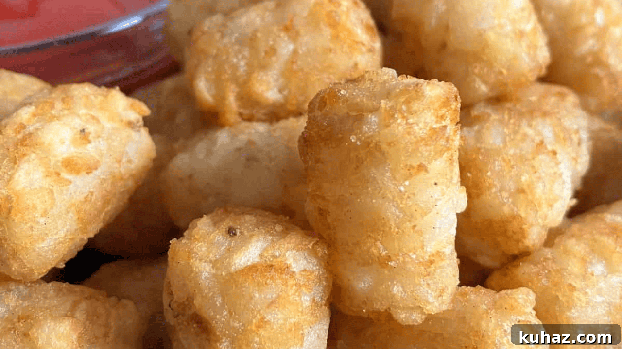 How to Reheat Frozen Meals for Crispy Results 11 Tater tots