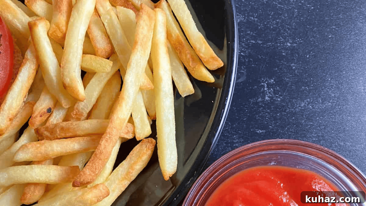 How to Reheat Frozen Meals for Crispy Results 10 Air Fryer Fries