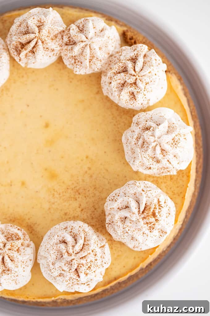 Creamy Eggnog Cheesecake Recipe for the Holidays 3 up close photo from the top of the eggnog cheesecake showing the whipped cream and the dusting of cinnamon