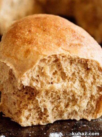 Whole wheat roll showing its crumb.