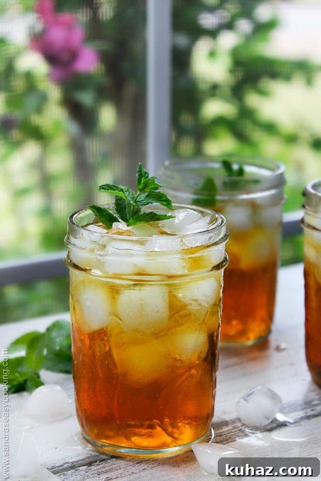 Cold Brew Red Rooibos Iced Tea 3 Red Rooibos Iced Tea