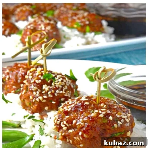 Baked Meatballs in Marinara with Melted Mozzarella 10 Asian meatballs