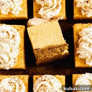 Pumpkin cheesecake bars from the top with slice turned over