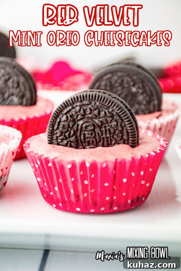 Closeup shot of no bake mini oreo cheesecakes