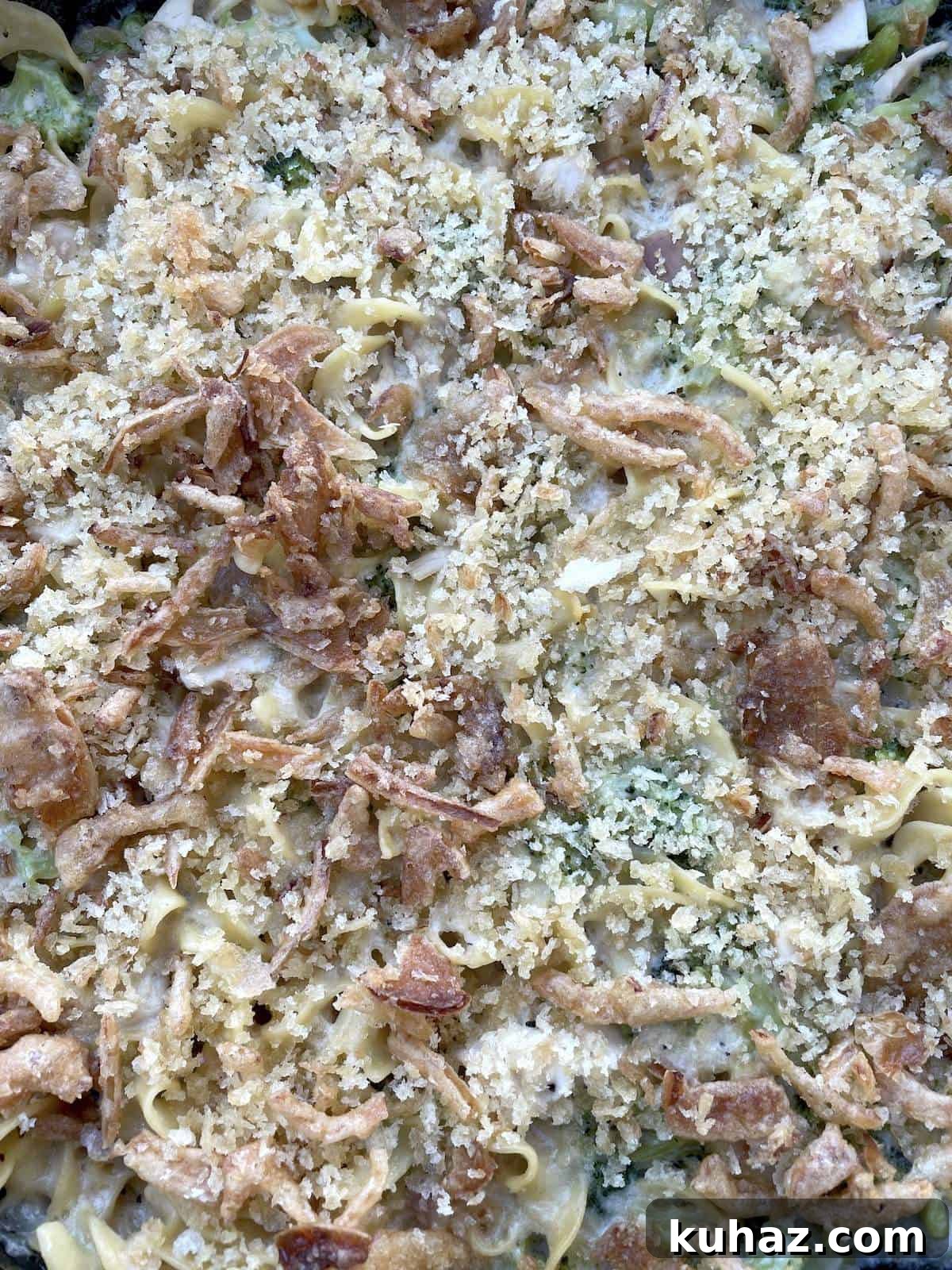 A close up of cheesy chicken and broccoli noodle casserole - lots of crunchy fried onions.