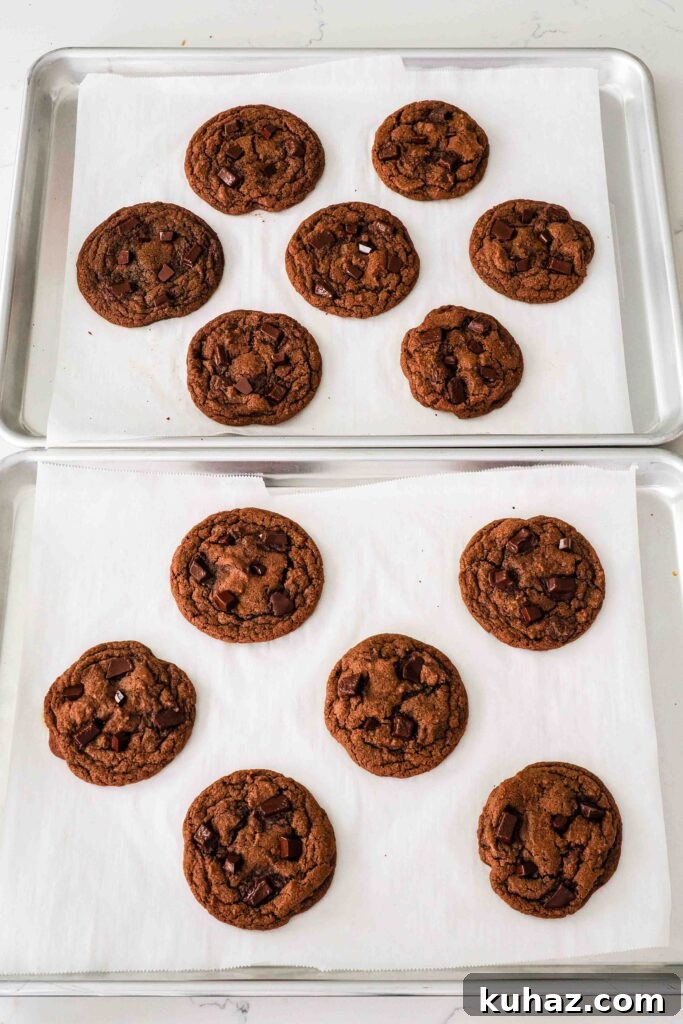 Chewy Double Chocolate Chip Cookies Recipe 13 Baked double chocolate chip cookies on a baking sheet.