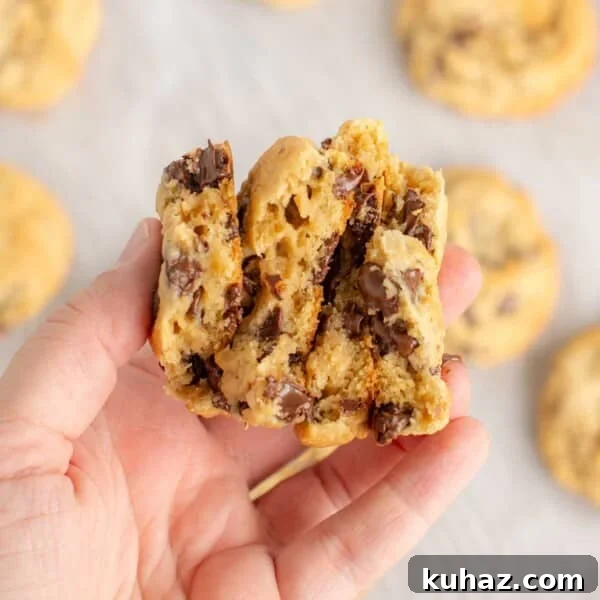 Oatmeal sourdough cookies.