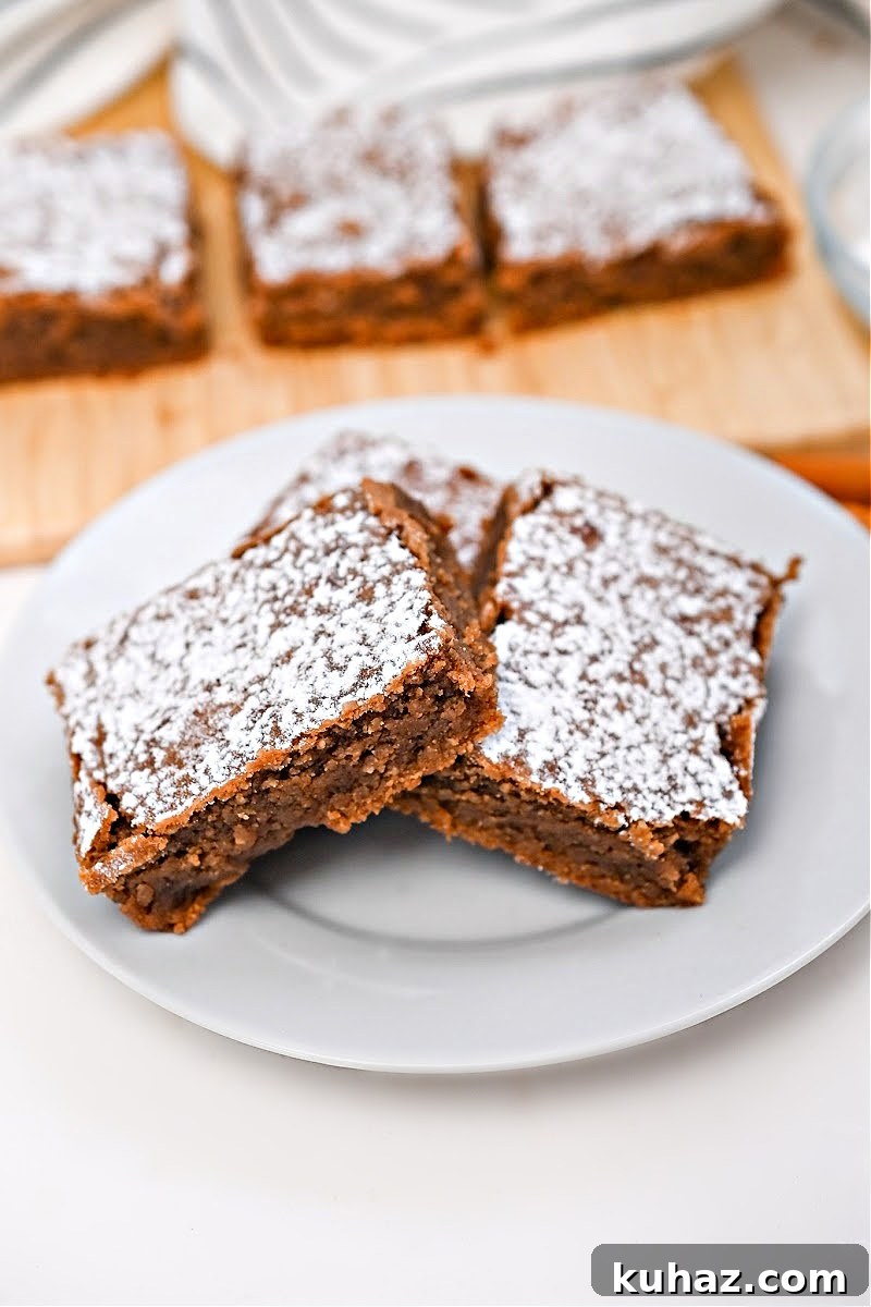 Low-Carb Gingerbread Brownies Recipe 4 img 50694 3